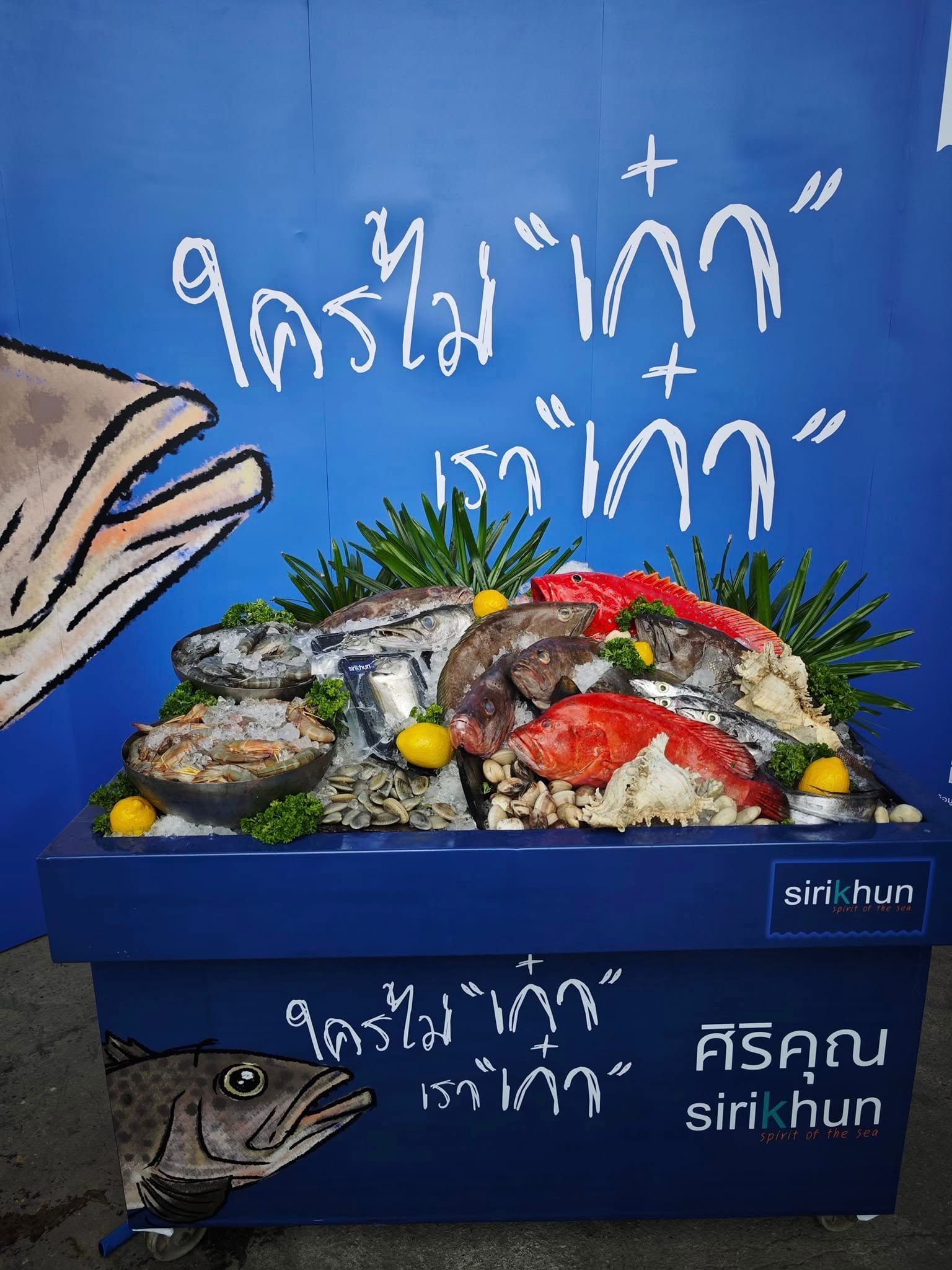 รูปภาพบทความ