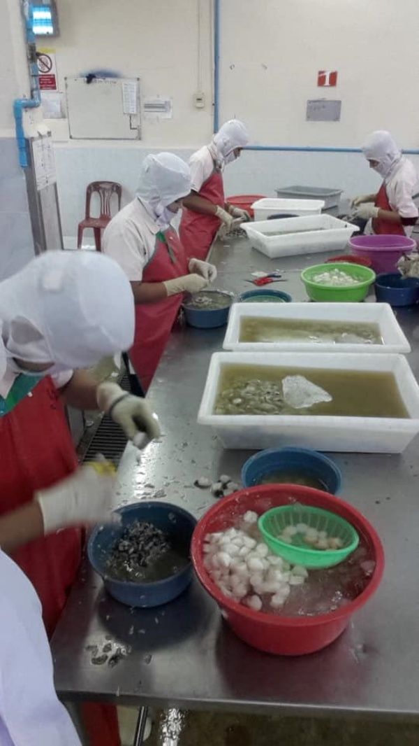 หิมะ9.jpg
