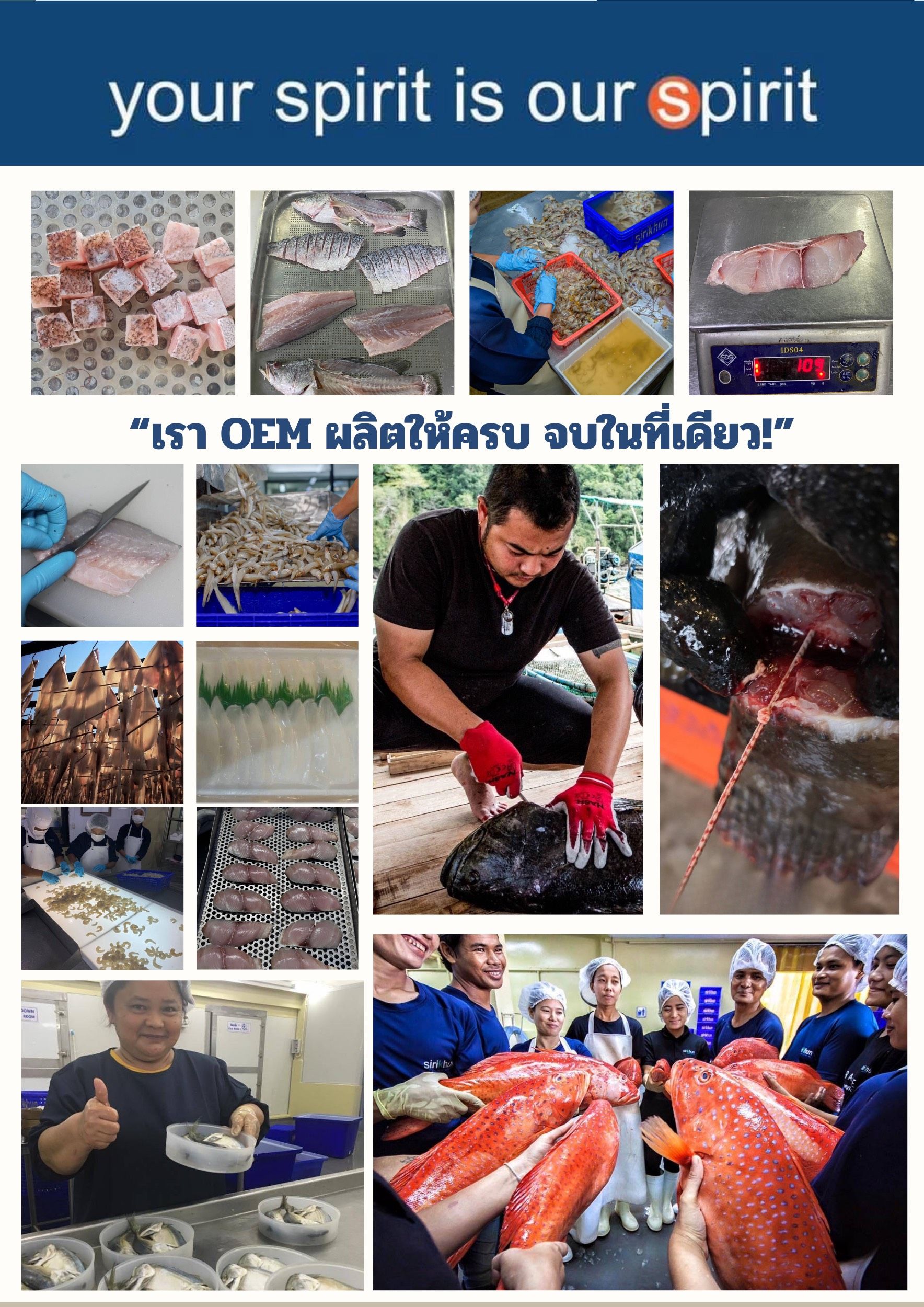 รหัสสินค้า  H123456.zip - 3 (1).png