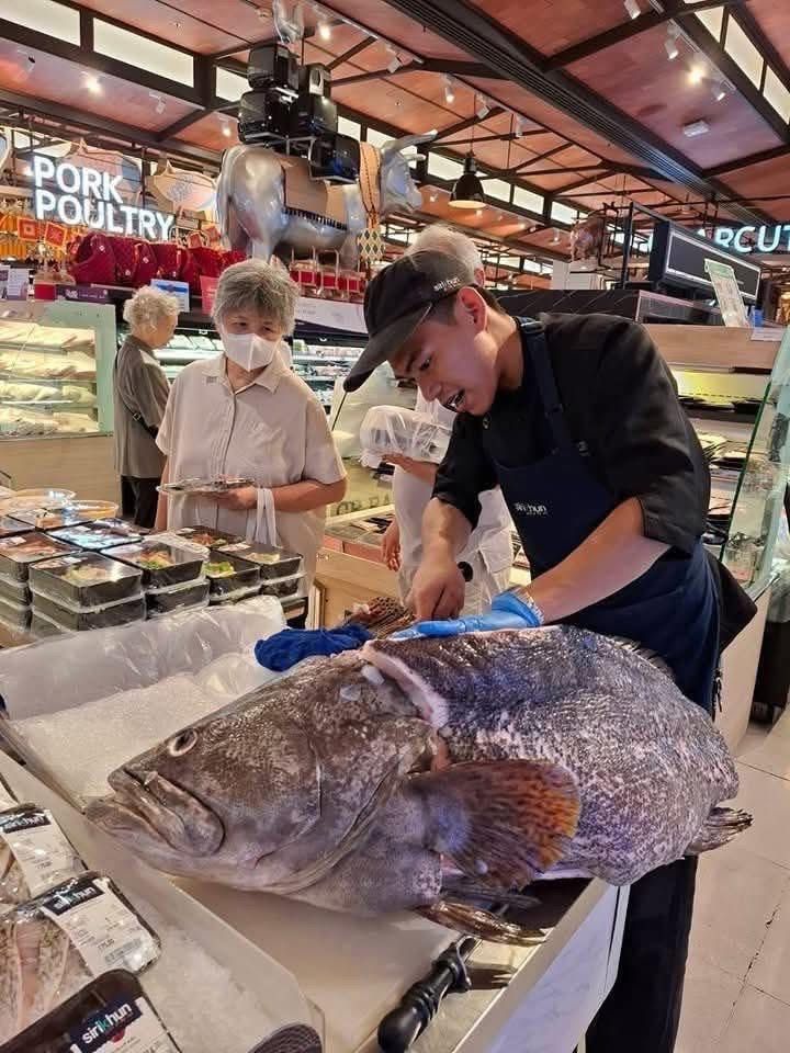 รูปภาพบทความ