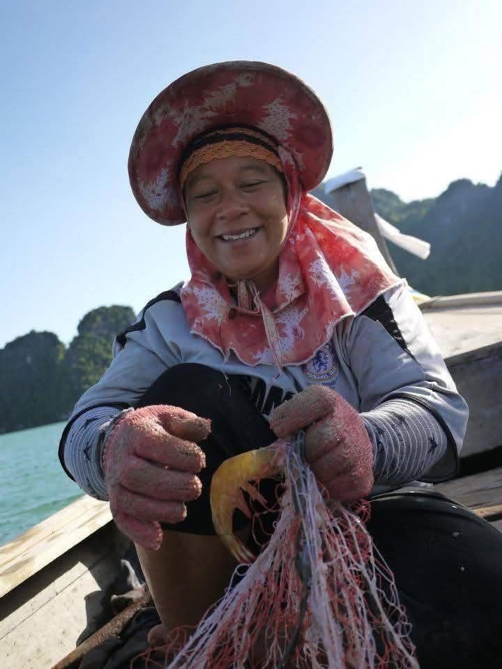 รูปภาพบทความ