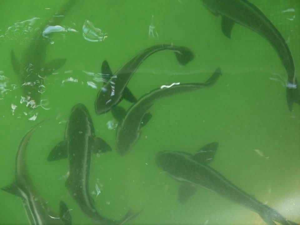 รูปภาพบทความ