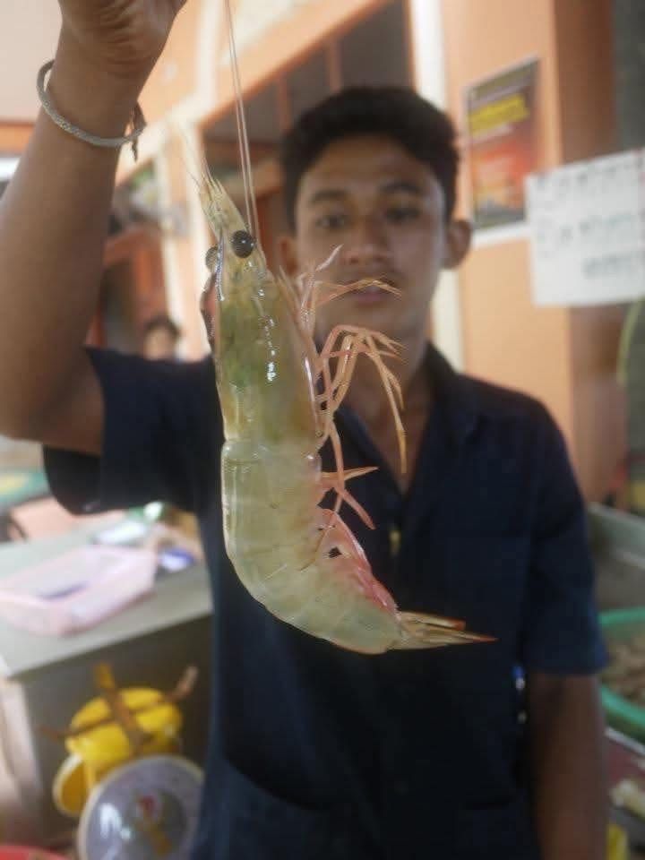 รูปภาพบทความ