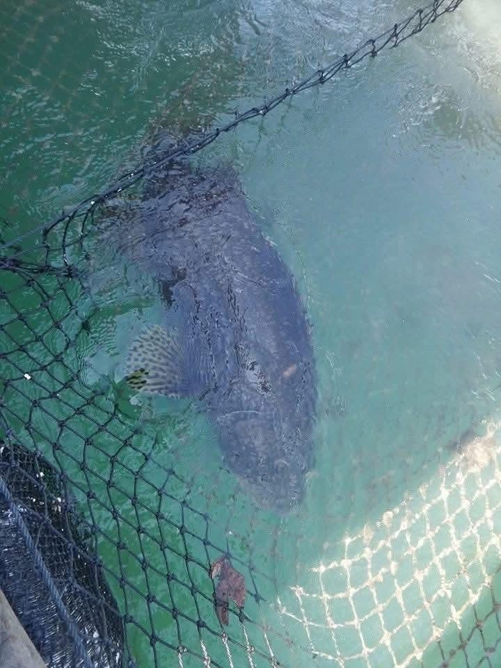 รูปภาพบทความ