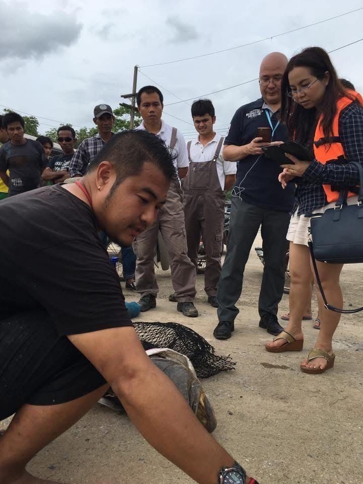 รูปภาพบทความ