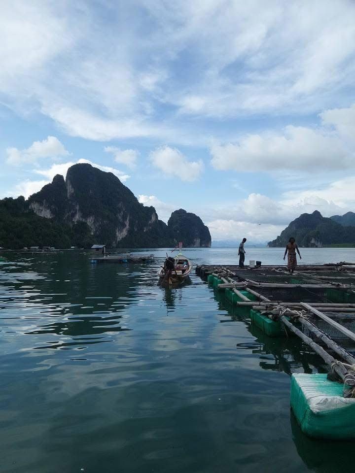 รูปภาพบทความ