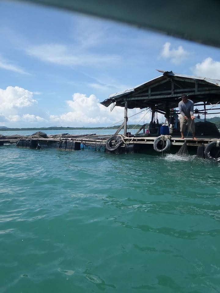 รูปภาพบทความ