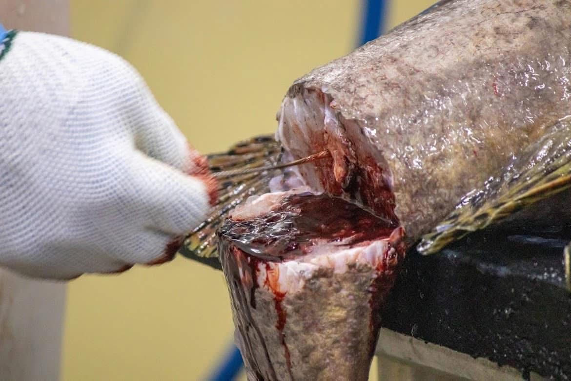 รูปภาพบทความ