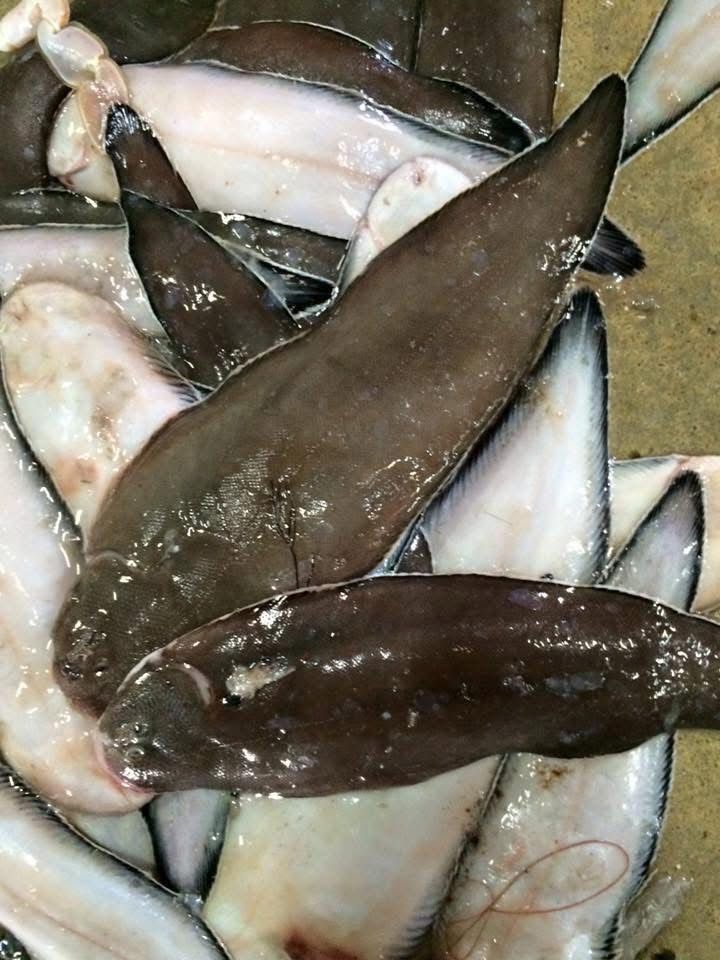 รูปภาพบทความ