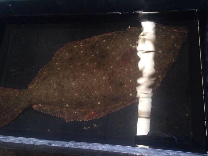 รูปภาพบทความ