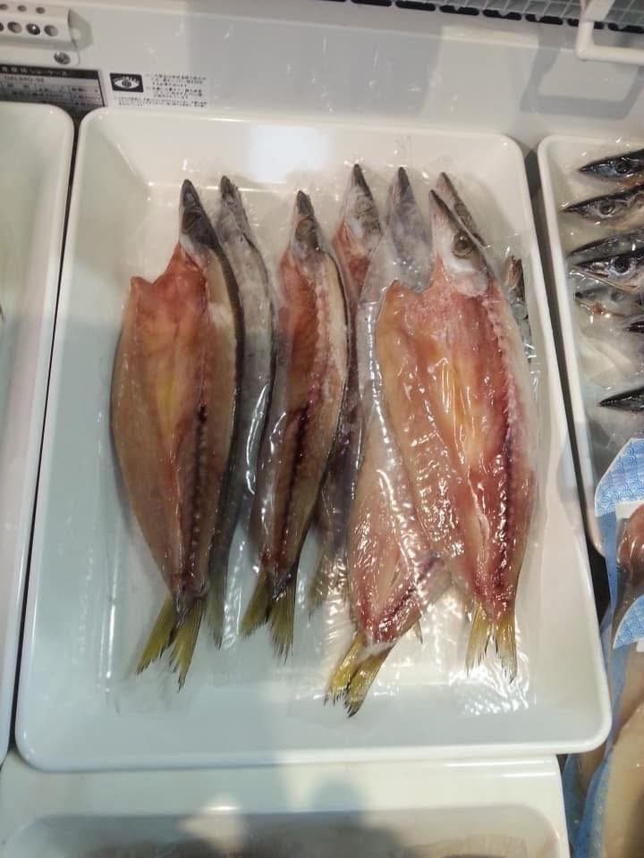 รูปภาพบทความ