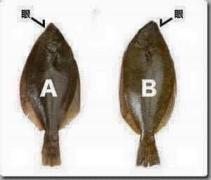 รูปภาพบทความ