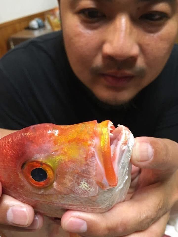 รูปภาพบททความ