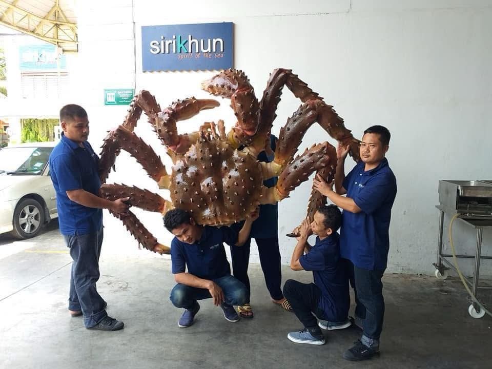 รูปภาพบทความ