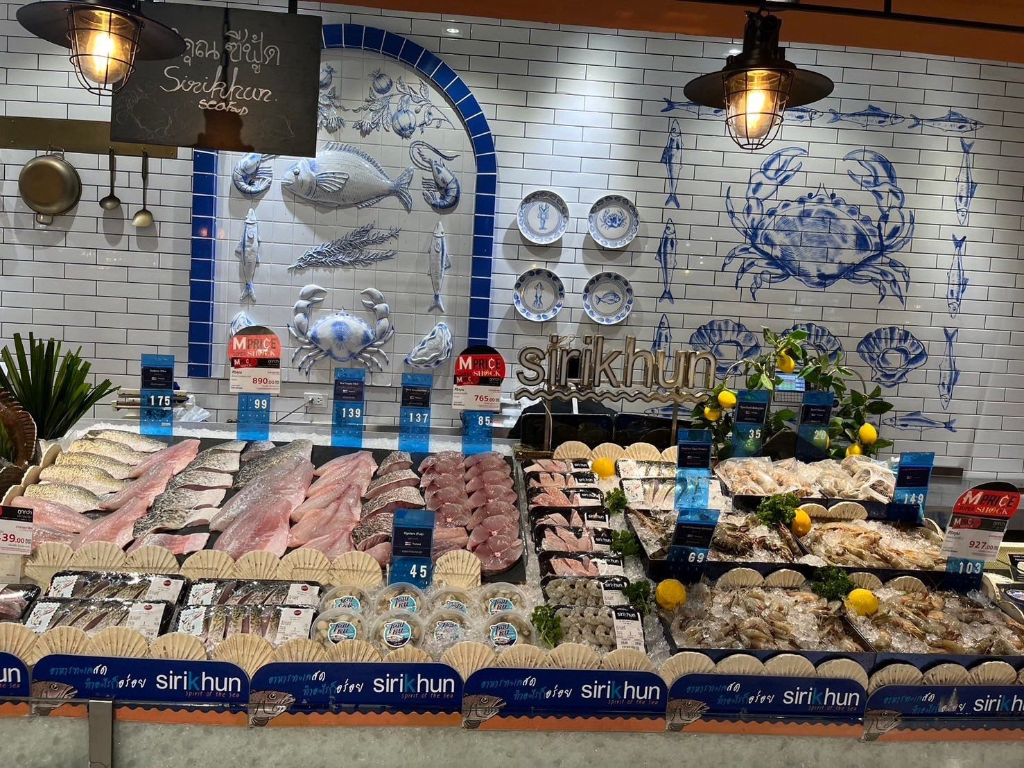 รูปภาพบทความ