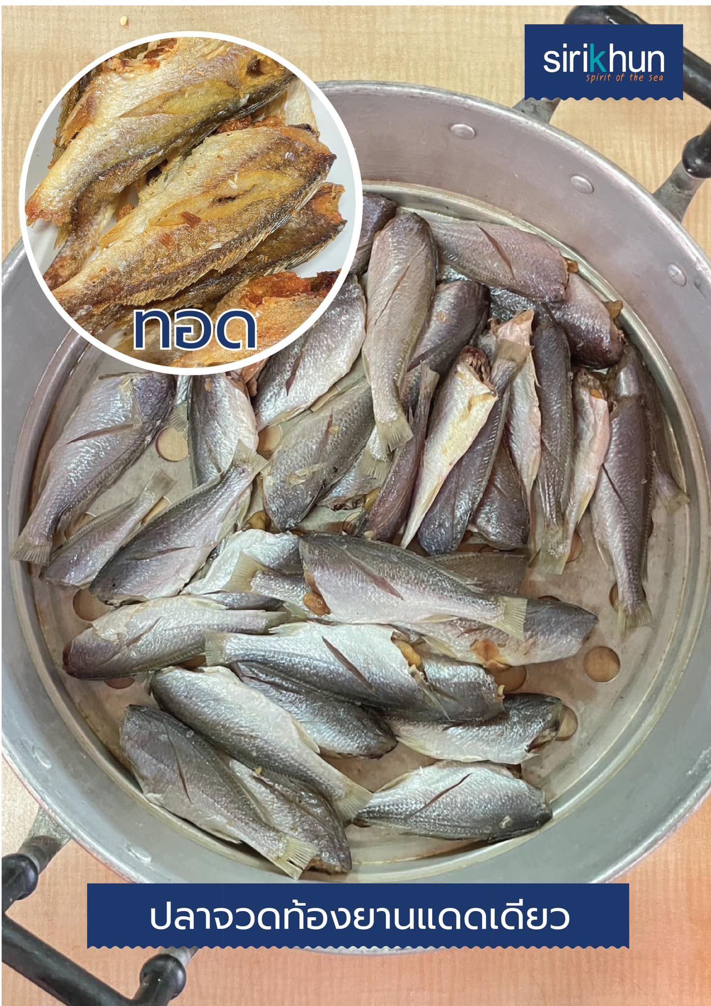 รูปภาพบทความ