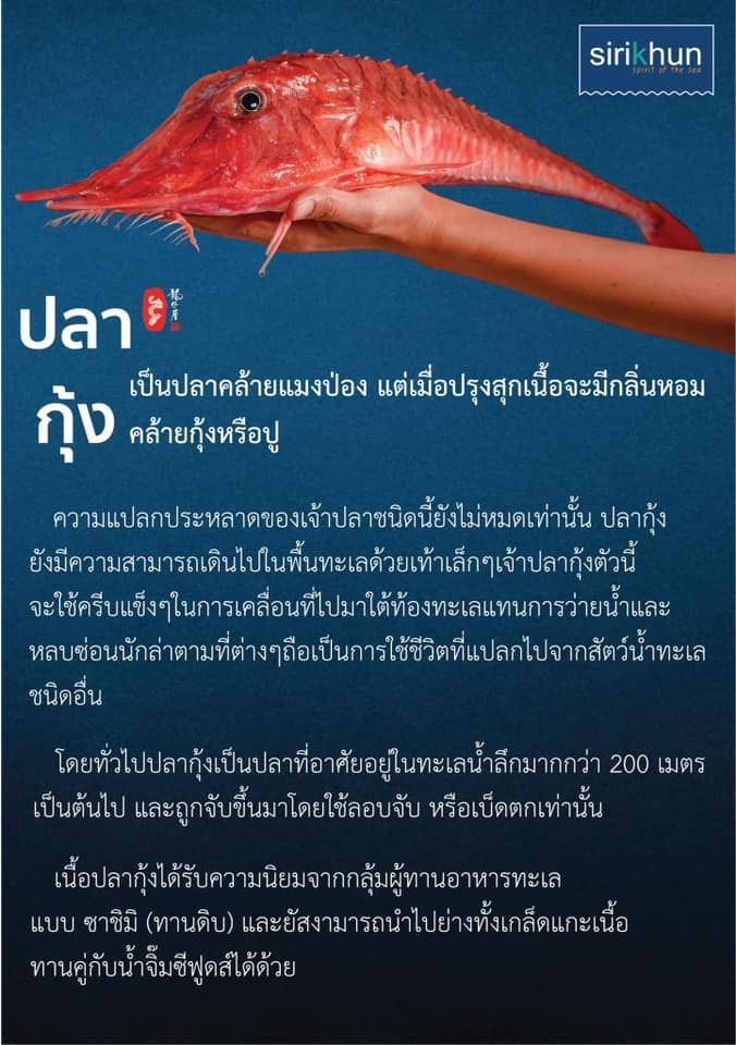 รูปภาพบทความ