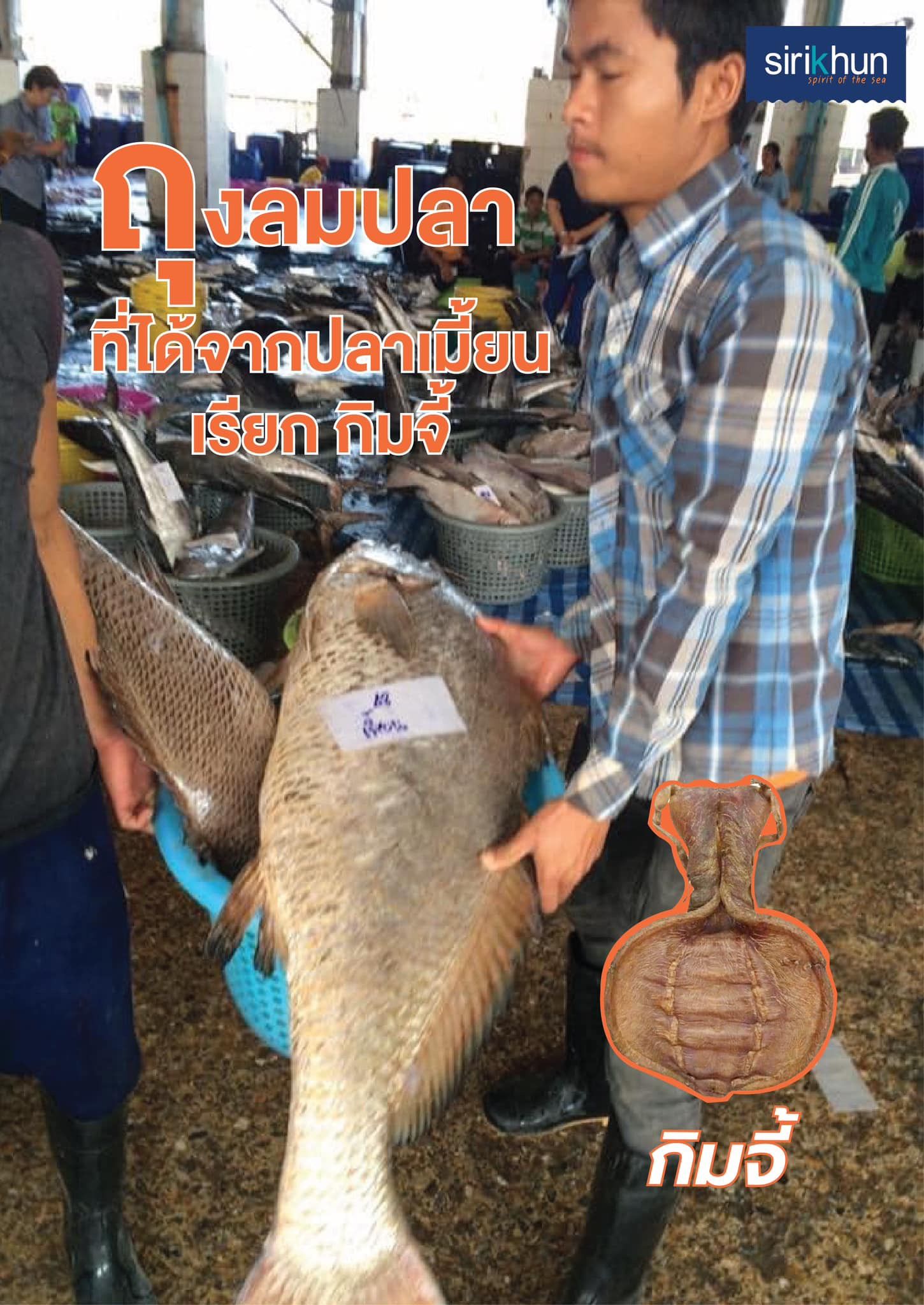 รูปภาพบทความ