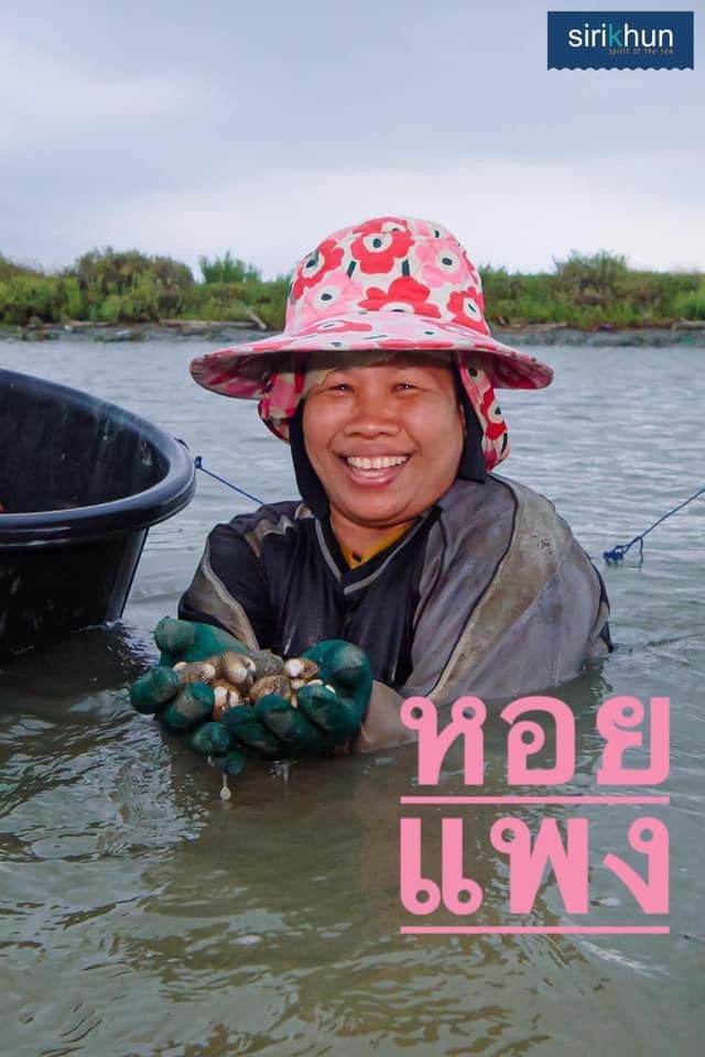 รูปภาพบทความ