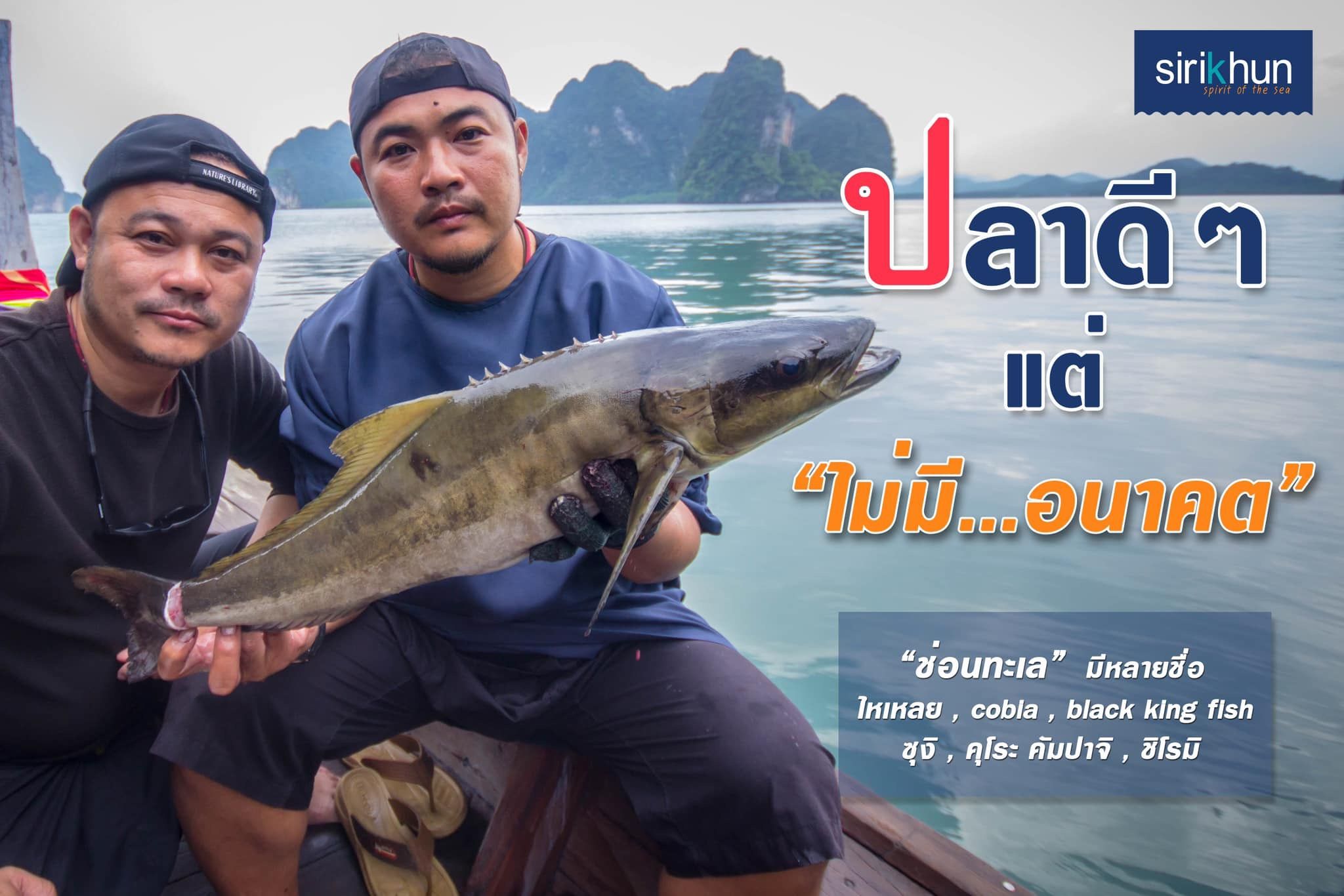 รูปภาพบทความ