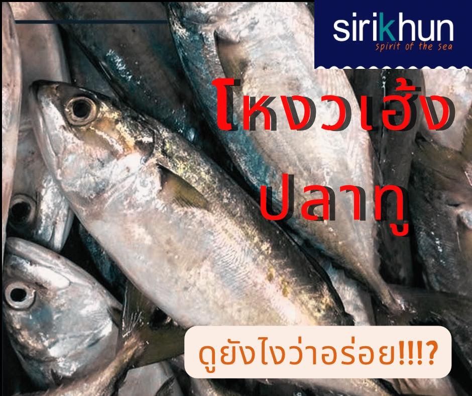 รูปภาพบททความ