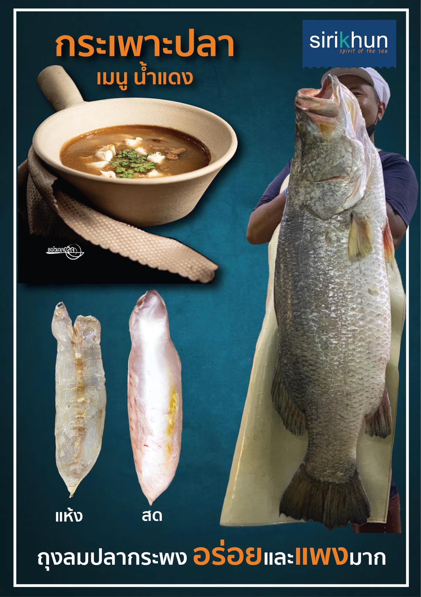 รูปภาพบททความ