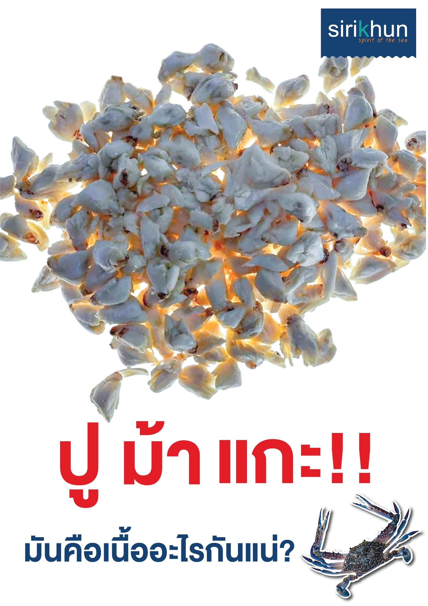 รูปภาพบททความ