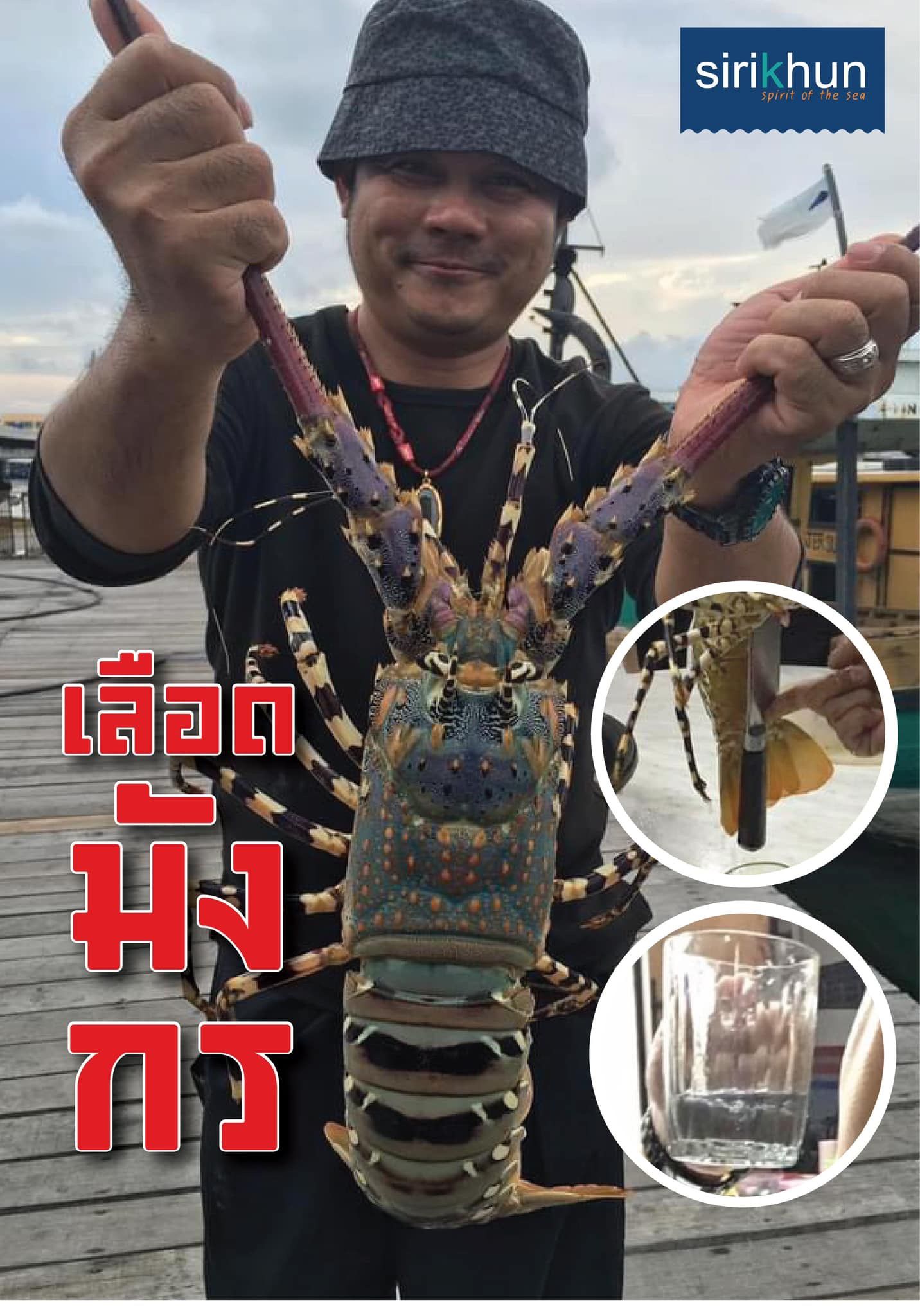 รูปภาพบททความ