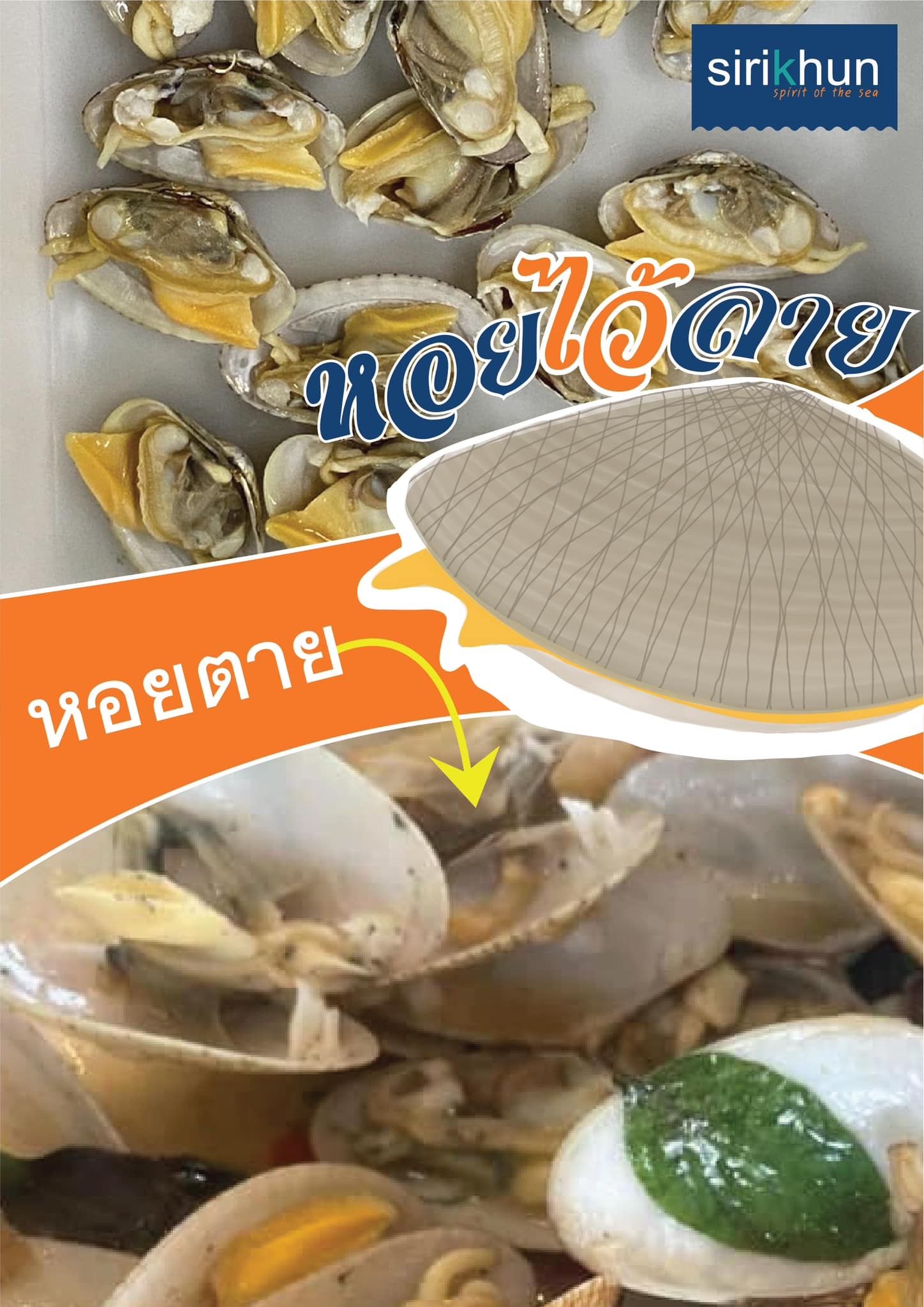 รูปภาพบททความ