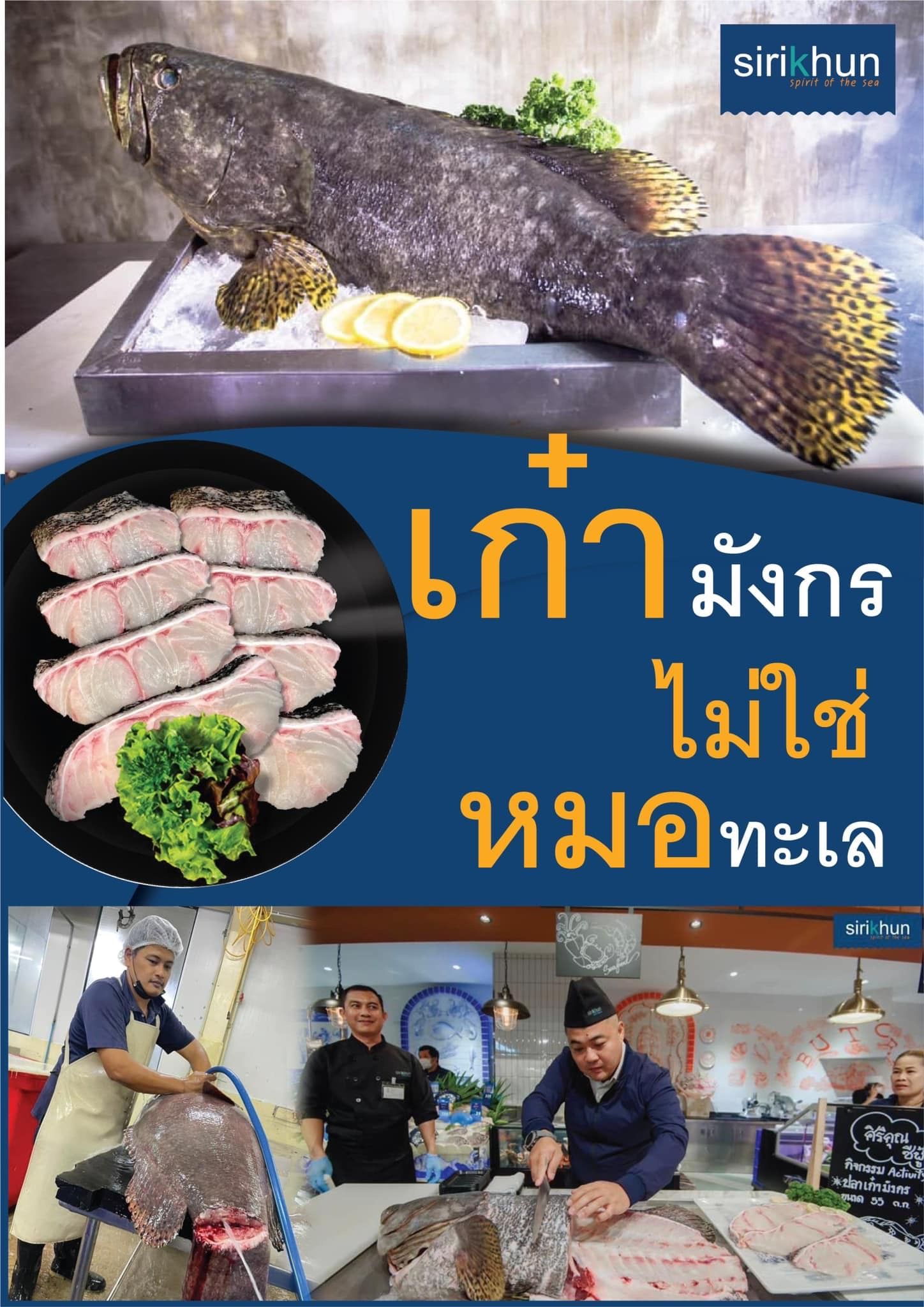 รูปภาพบทความ