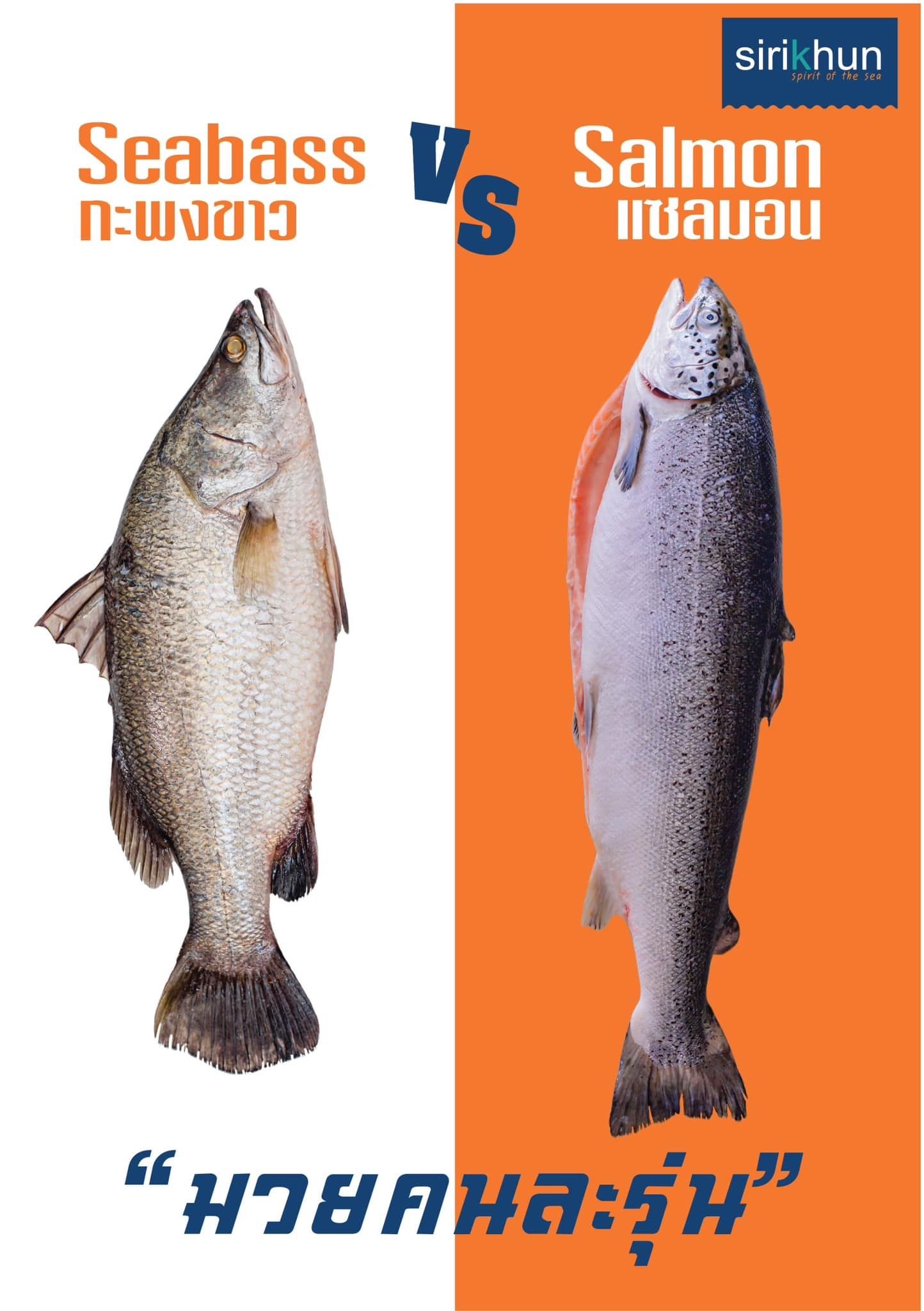 รูปภาพบททความ