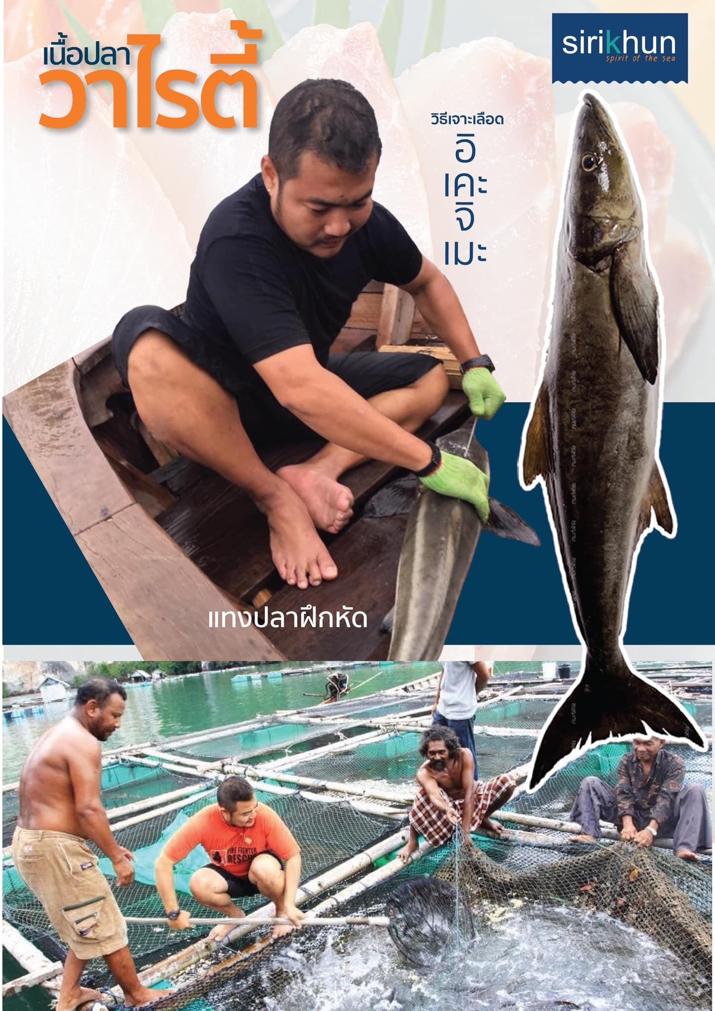 รูปภาพบททความ