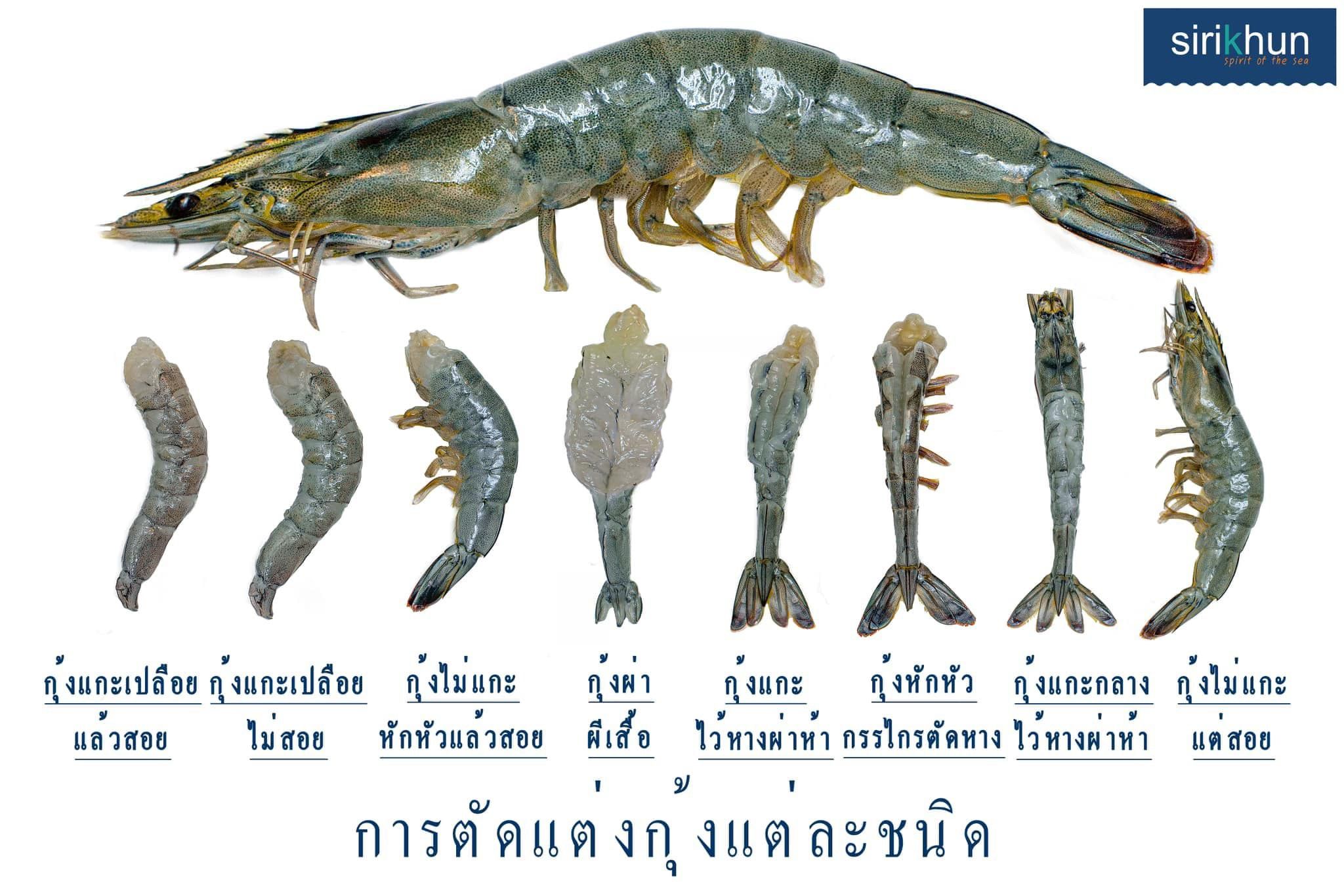 รูปภาพบททความ