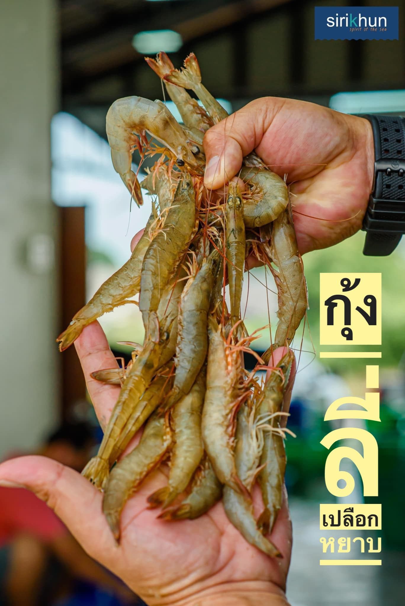 รูปภาพบททความ