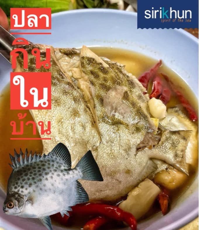 รูปภาพบททความ