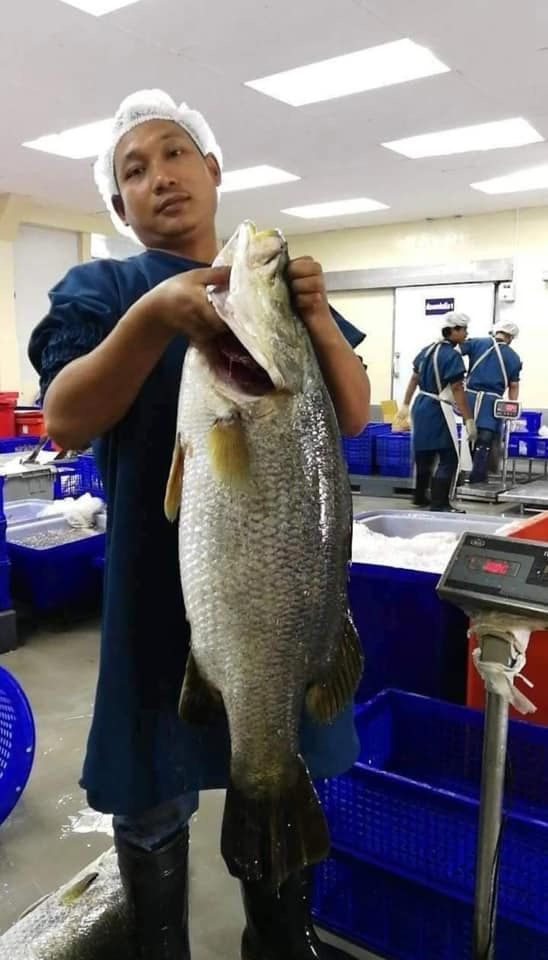 รูปภาพบททความ