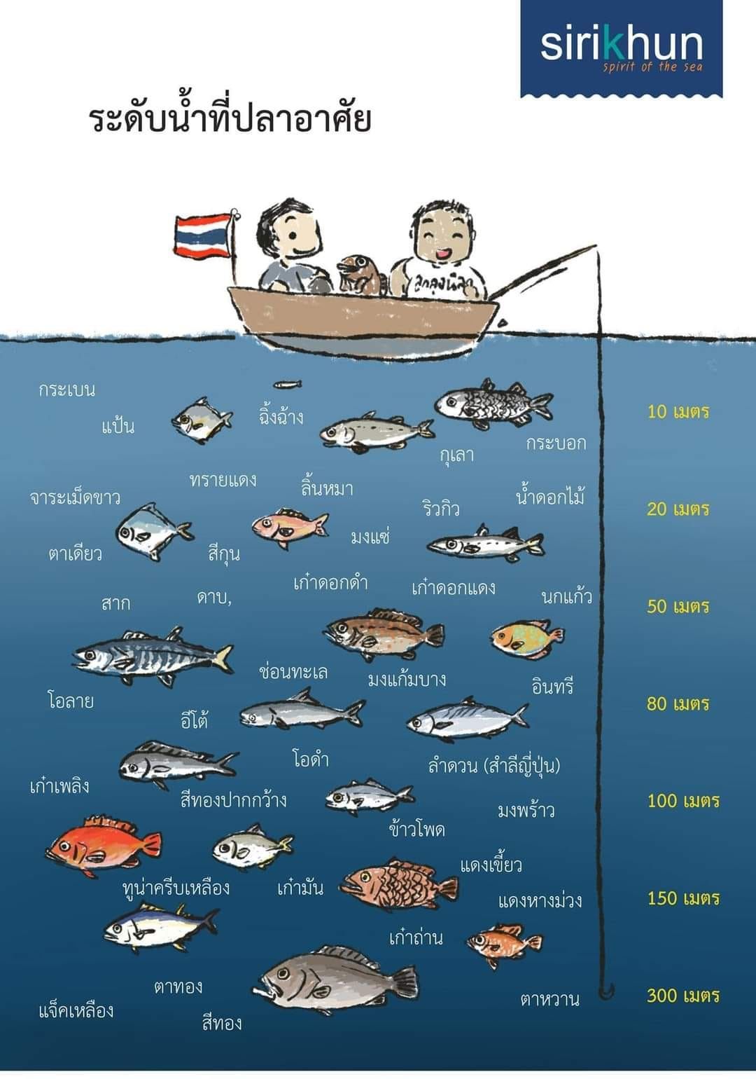 รูปภาพบทความ