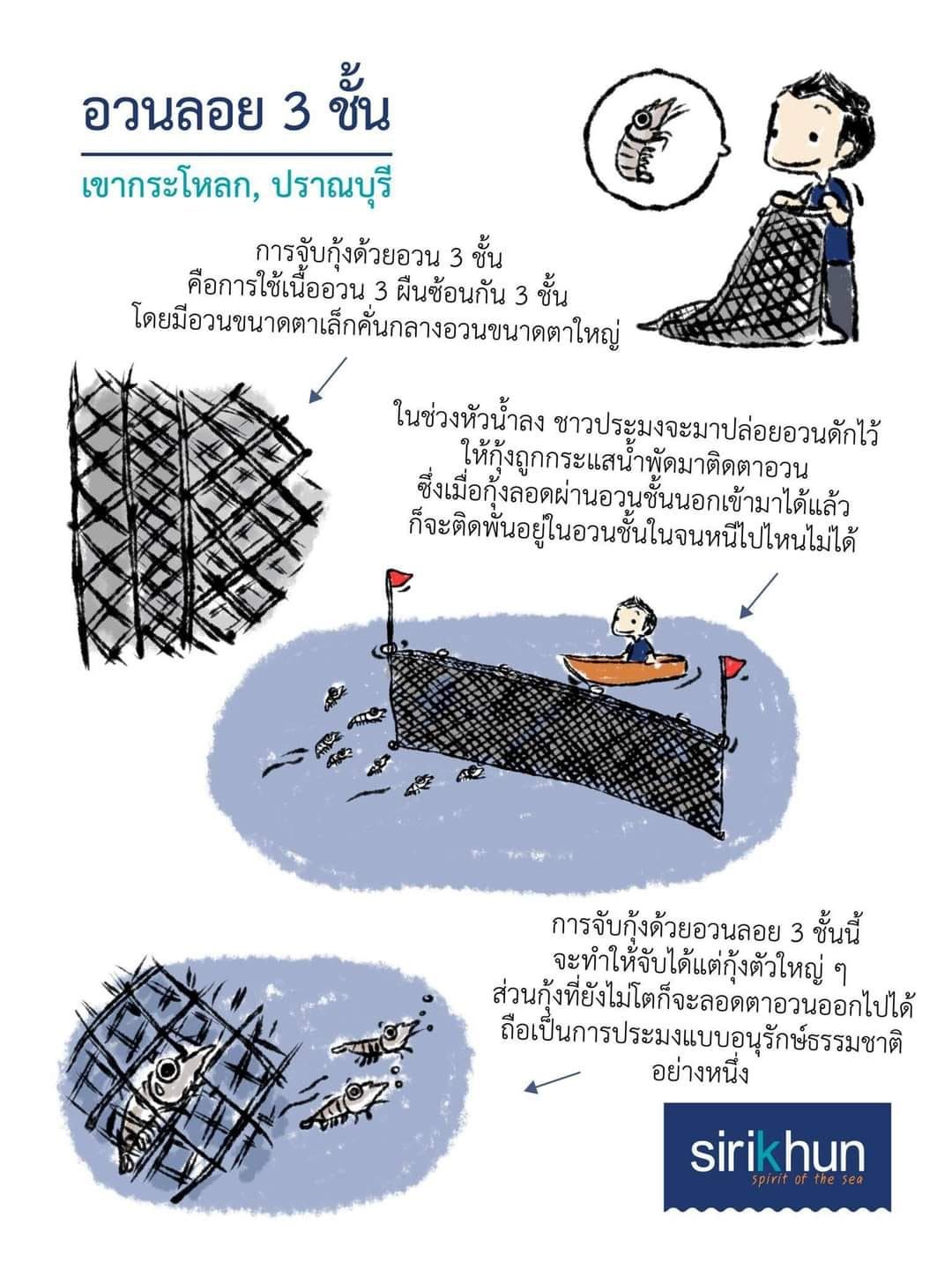 รูปภาพบทความ