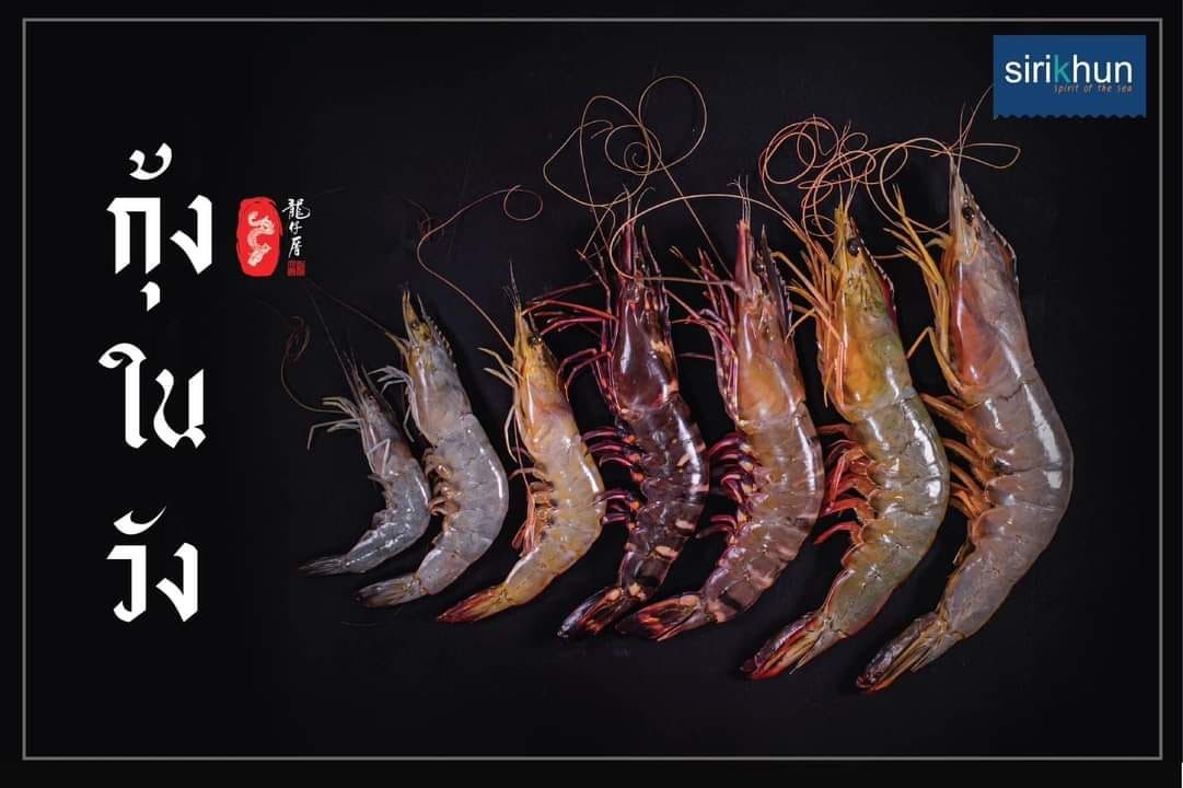 รูปภาพบทความ