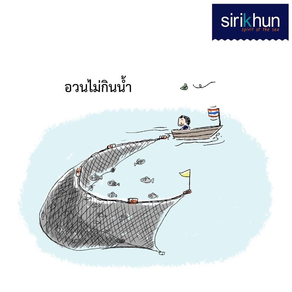 รูปภาพบทความ