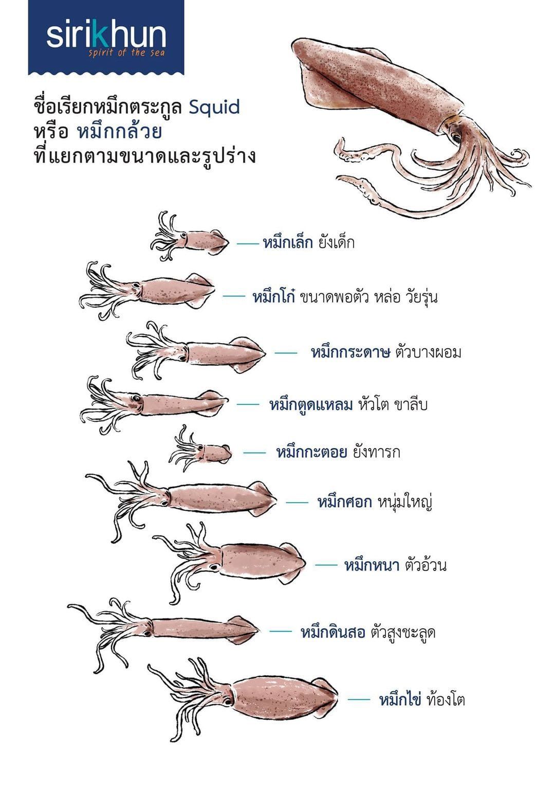 รูปภาพบทความ