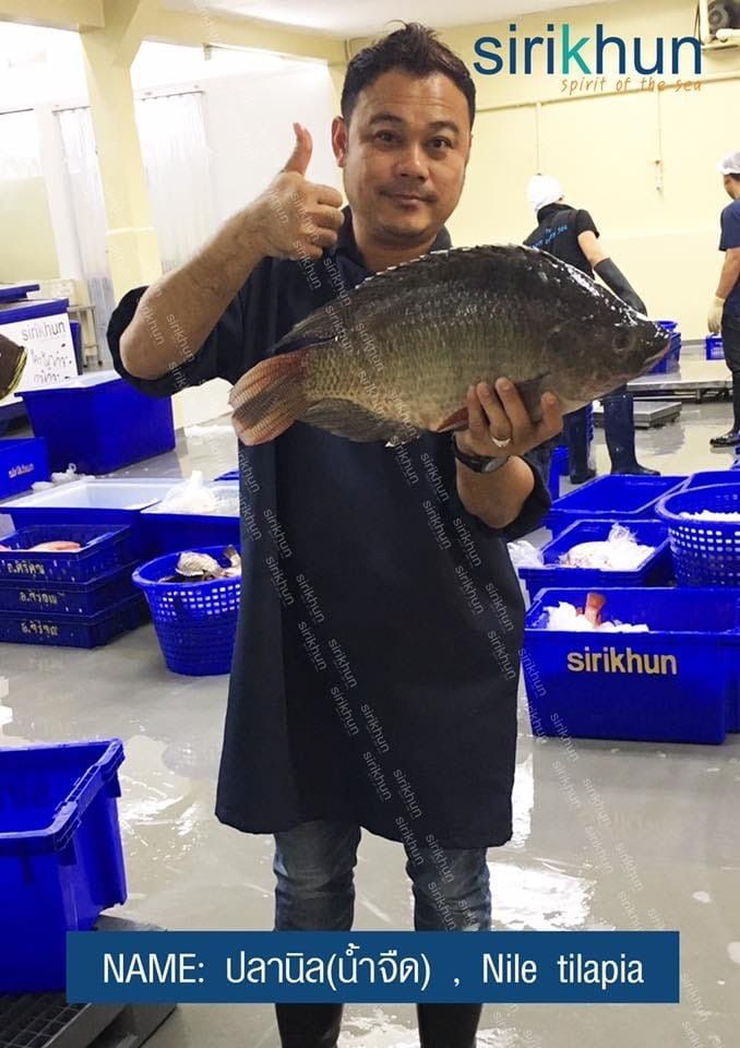 รูปภาพบทความ