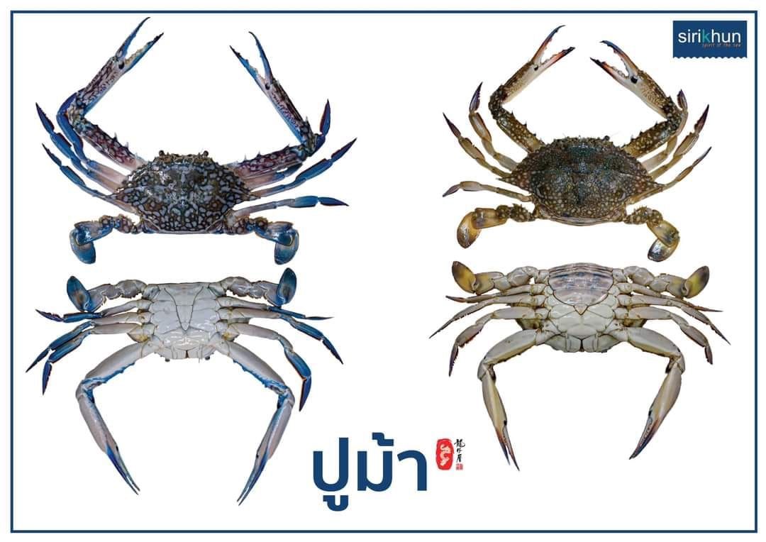 รูปภาพบทความ