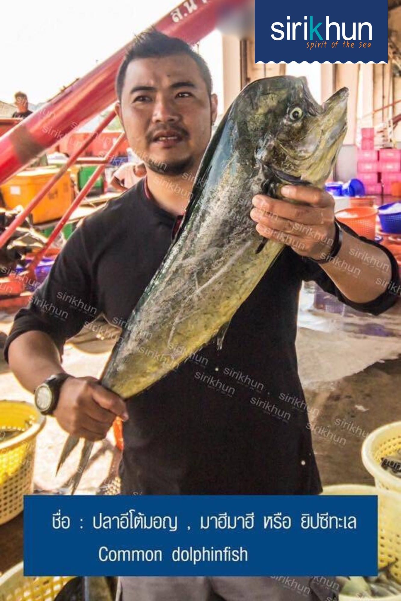 รูปภาพบทความ