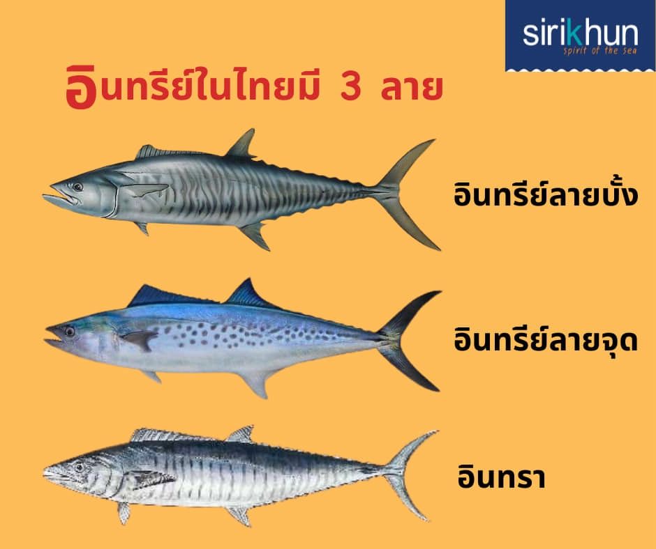 รูปภาพบทความ