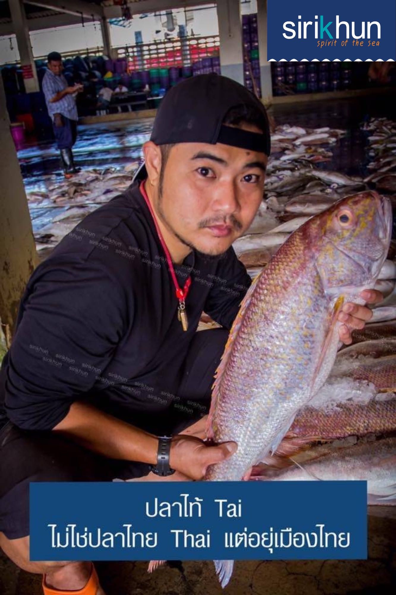 รูปภาพบททความ