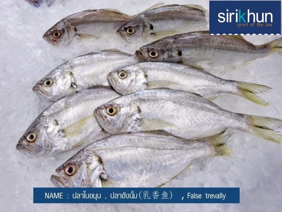 รูปภาพบททความ