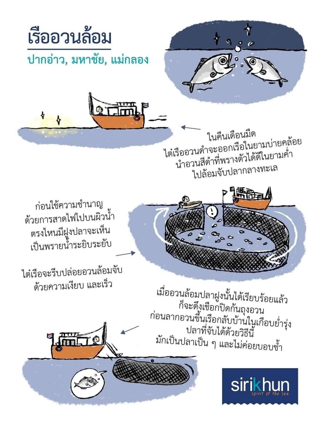 รูปภาพบทความ