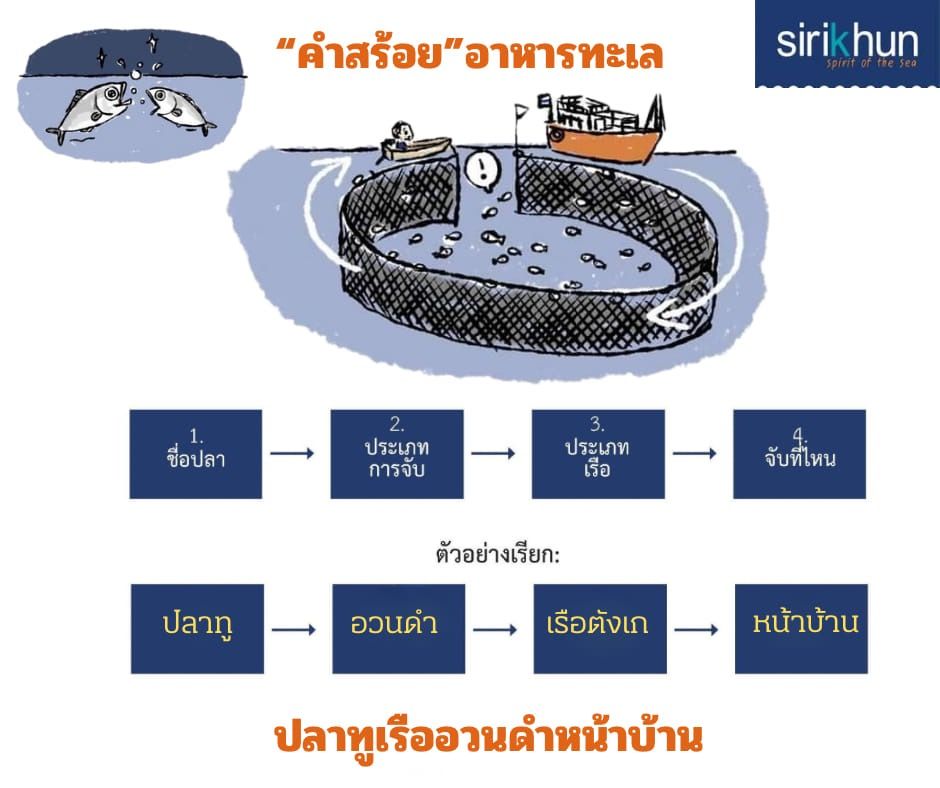 รูปภาพบทความ