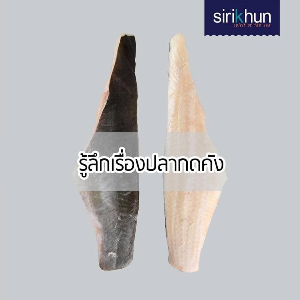 รูปภาพบทความ